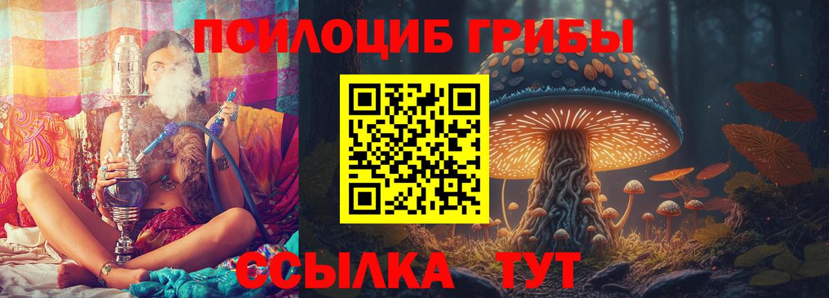 Псилоцибиновые грибы MAGIC MUSHROOMS Знаменск