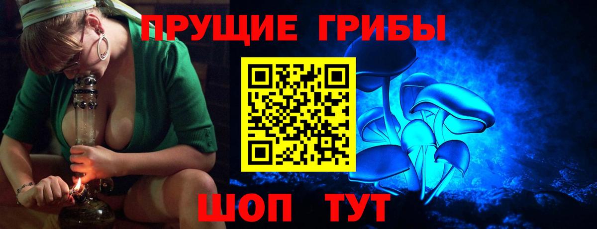 Псилоцибиновые грибы ЛСД  наркота  Вход с VPN  Знаменск  Галлюциногенные грибы Magic Shrooms 